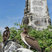 Blue-footed Booby